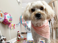 Sunshine's Pet Services - Photo 7 - Car repair in , Spring Hill