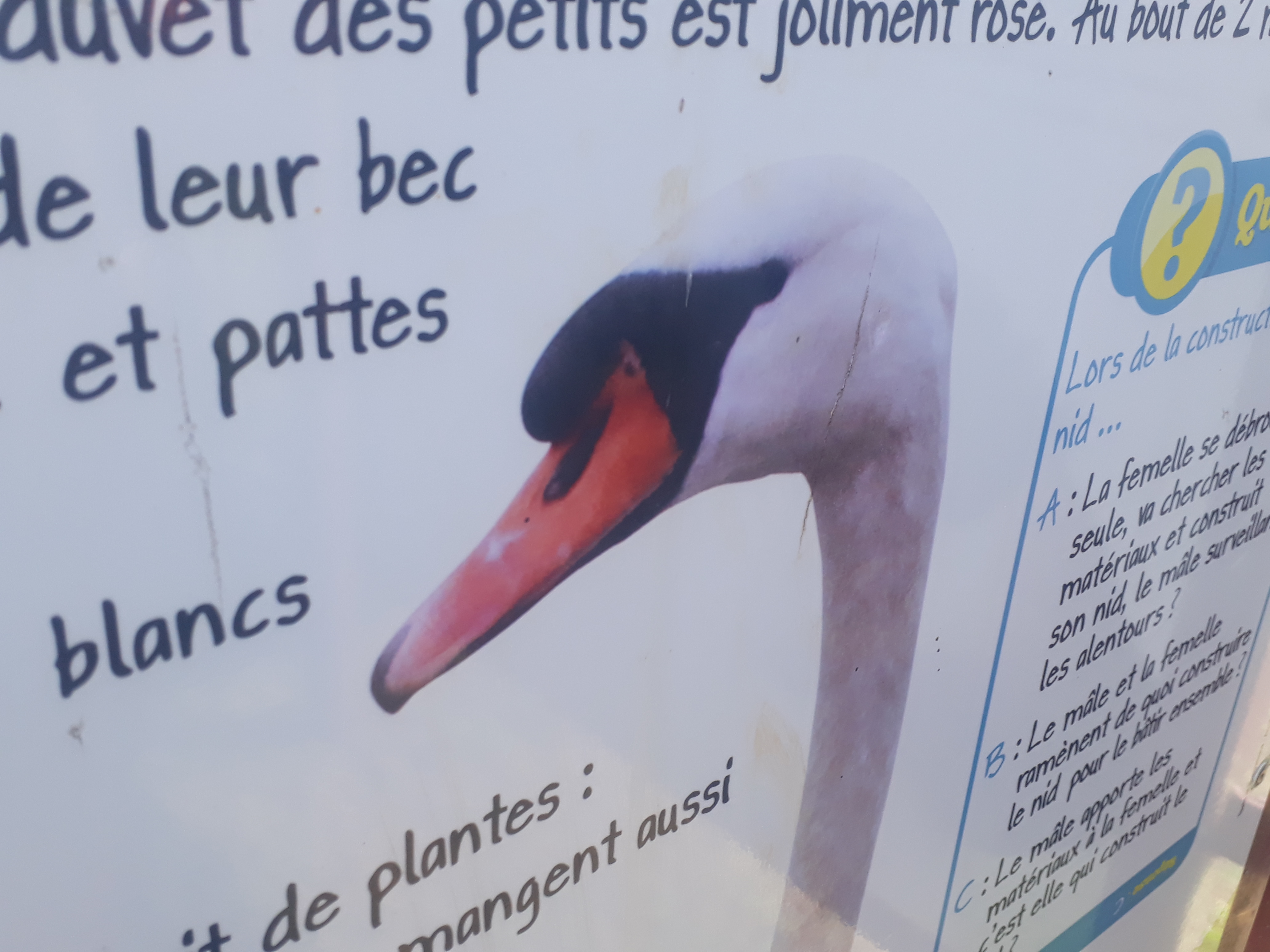 Photo n° 5 de l'avis de Karine.o fait le 13/08/2019 à 20:41
