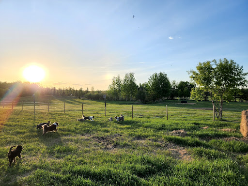 CD-Six Farms