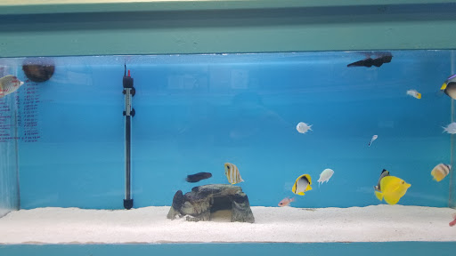 Pet Store «Fontana Tropical Fish & Pets», reviews and photos, 9830 Sierra Ave, Fontana, CA 92335, USA