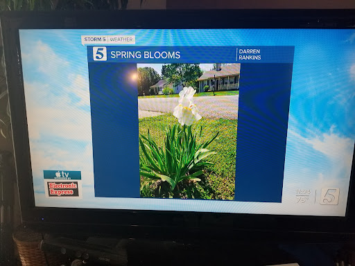 Social Services Organization «Ronald McDonald House», reviews and photos