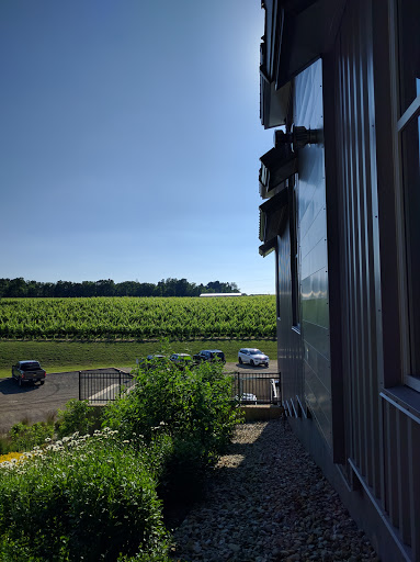 Winery «Dablon Vineyards & Winery», reviews and photos, 111 W Shawnee Rd, Baroda, MI 49101, USA