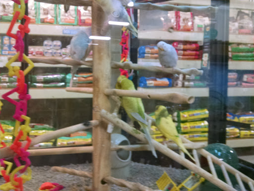 Pet Supply Store «Petco Animal Supplies», reviews and photos, 1742 Hamilton Blvd, Sioux City, IA 51103, USA