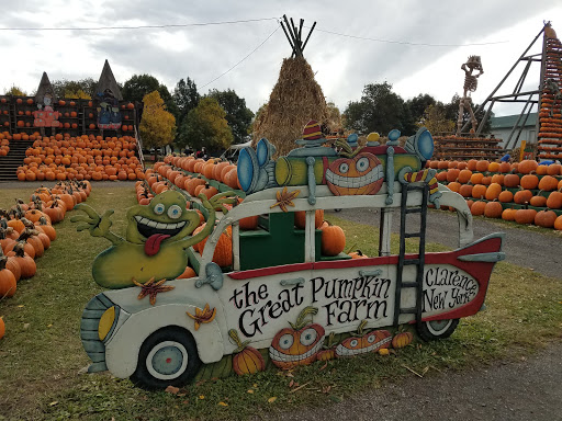 Great Pumpkin Farm image 10