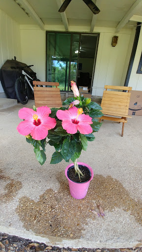 Real Estate Agency «3Z Realty», reviews and photos