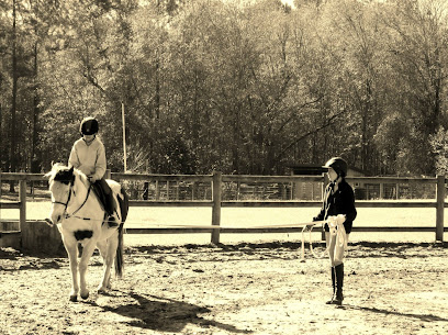 NF Equestrian at Neverdun Farms