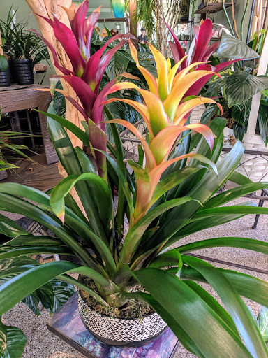 Florist «Tiger Lily Floral», reviews and photos, 700 E Sahara Ave, Las Vegas, NV 89135, USA