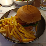 Photo n°1 de l'avis de Günther.f fait le 11/12/2023 à 21:13 sur le  Flamingo Lignano à Lignano Sabbiadoro