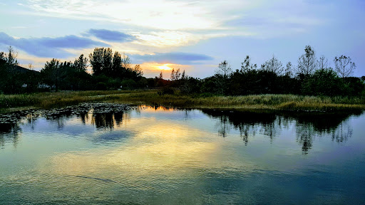 Community Center «Volunteer Park Community Center», reviews and photos, 12050 W Sunrise Blvd, Plantation, FL 33323, USA