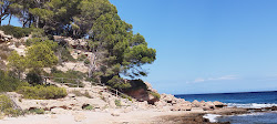 Photo of Platja del Torrent del Pi located in natural area