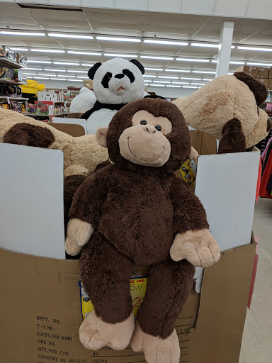 Discount Store «Ocean State Job Lot», reviews and photos, 30 Commercial St, Medford, MA 02155, USA