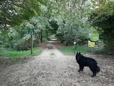Arboretum du chemin de la découverte à Melle