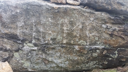 Nature Preserve «The New Weis Center for Education, Arts & Recreation», reviews and photos, 150 Snake Den Rd, Ringwood, NJ 07456, USA