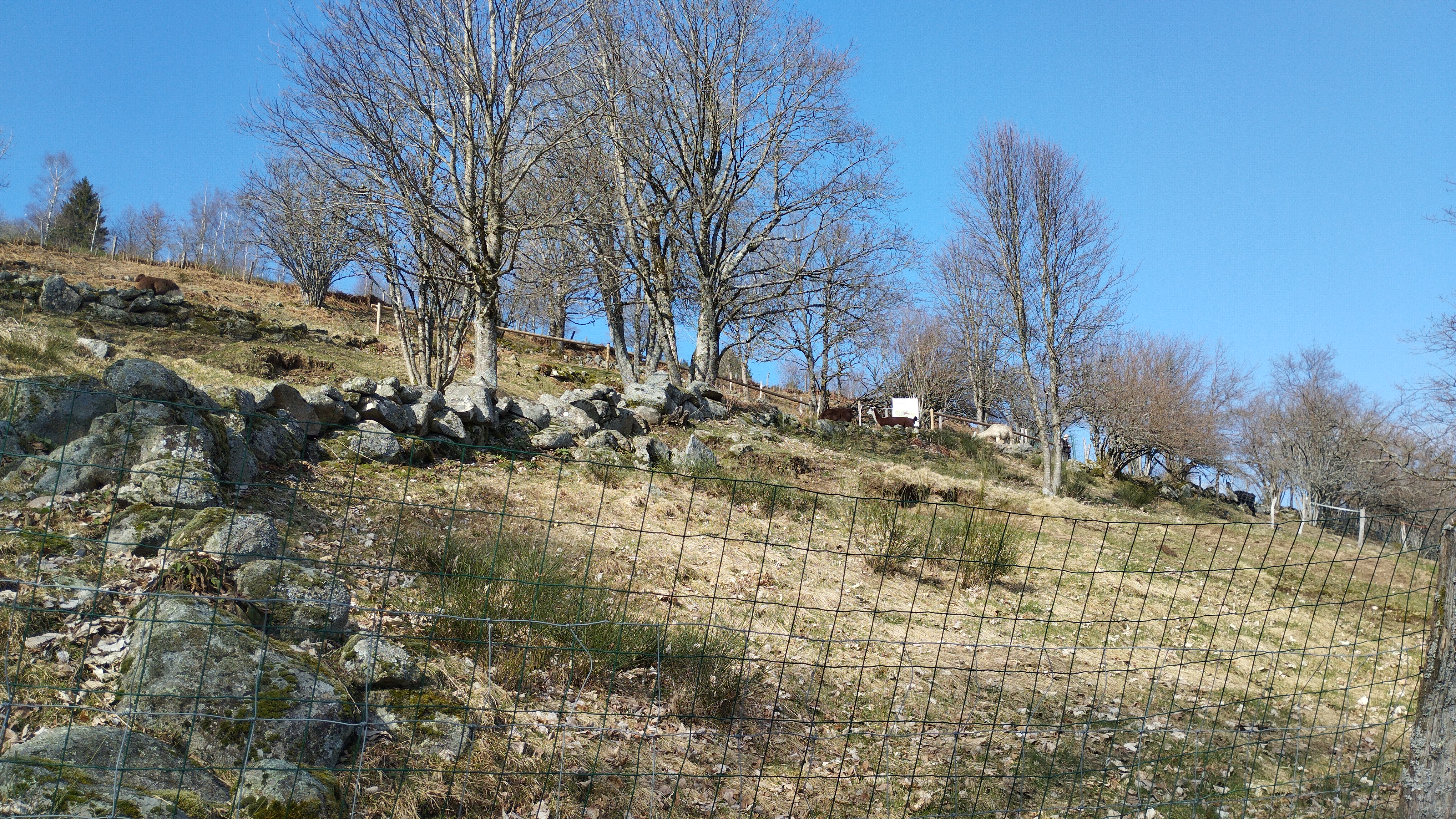 Photo n° 2 de l'avis de Cedric.. fait le 07/03/2024 à 16:53