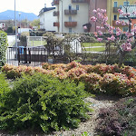 Photo n°1 de l'avis de Johann.a fait le 23/04/2023 à 09:50 sur le  Pizzeria Ristorante La Scogliera à Sedico