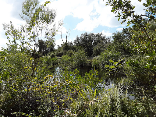 Nature Preserve «Perico Preserve», reviews and photos, 11700 Manatee Ave W, Bradenton, FL 34209, USA