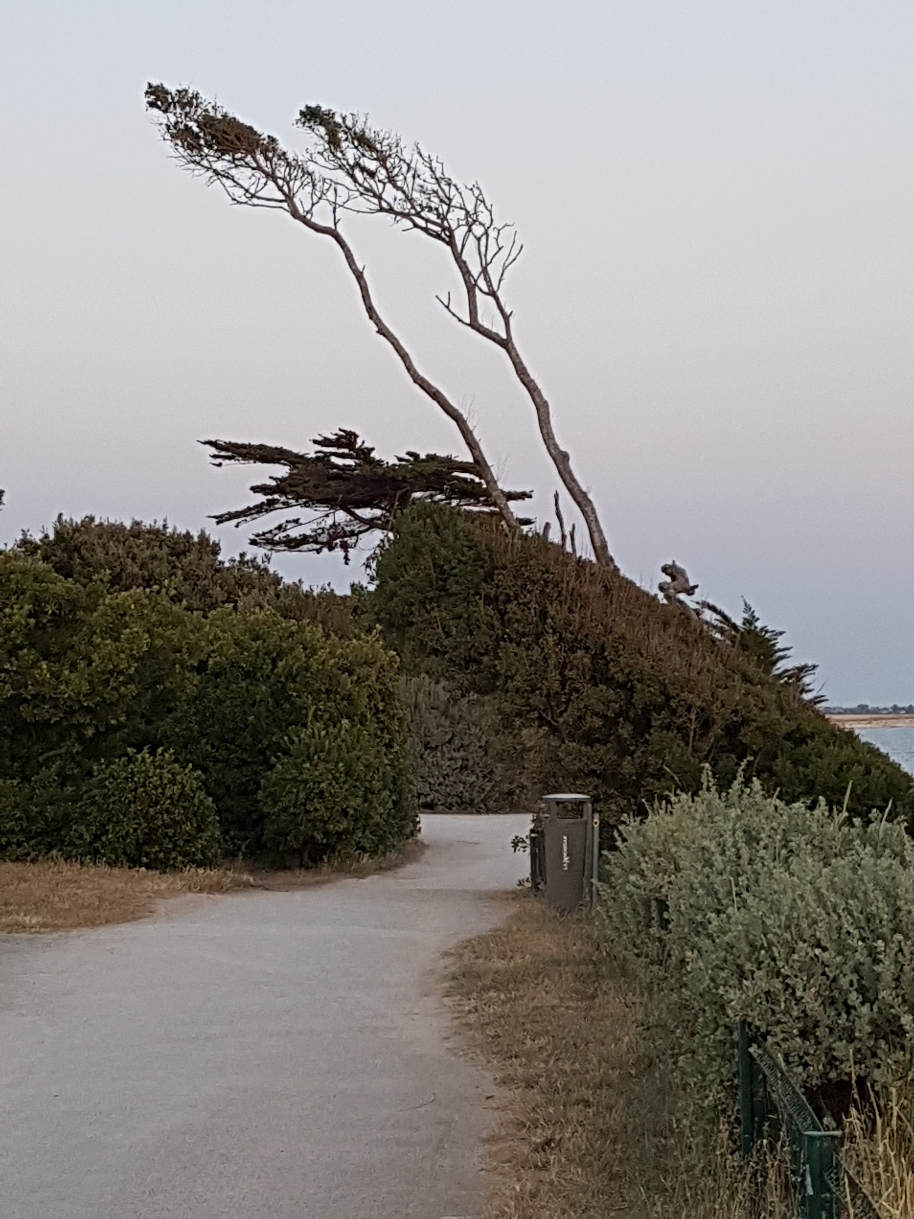 Photo n° 4 de l'avis de daniel.a fait le 08/07/2019 à 09:52