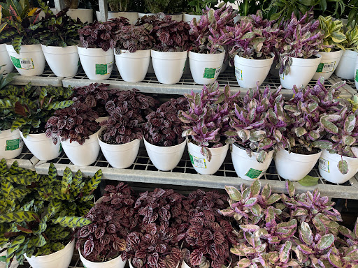 Home Improvement Store «Menards», reviews and photos, 7800 Lakeland Ave N, Brooklyn Park, MN 55445, USA