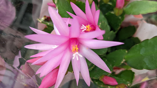 Department Store «Walmart Supercenter», reviews and photos, 2100 Summit Ridge Plaza, Mt Pleasant, PA 15666, USA