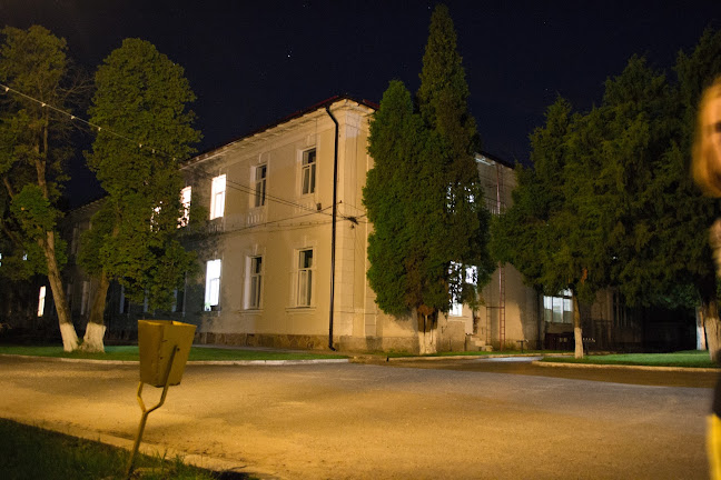 Strada Sanatoriului 8, 335400, România