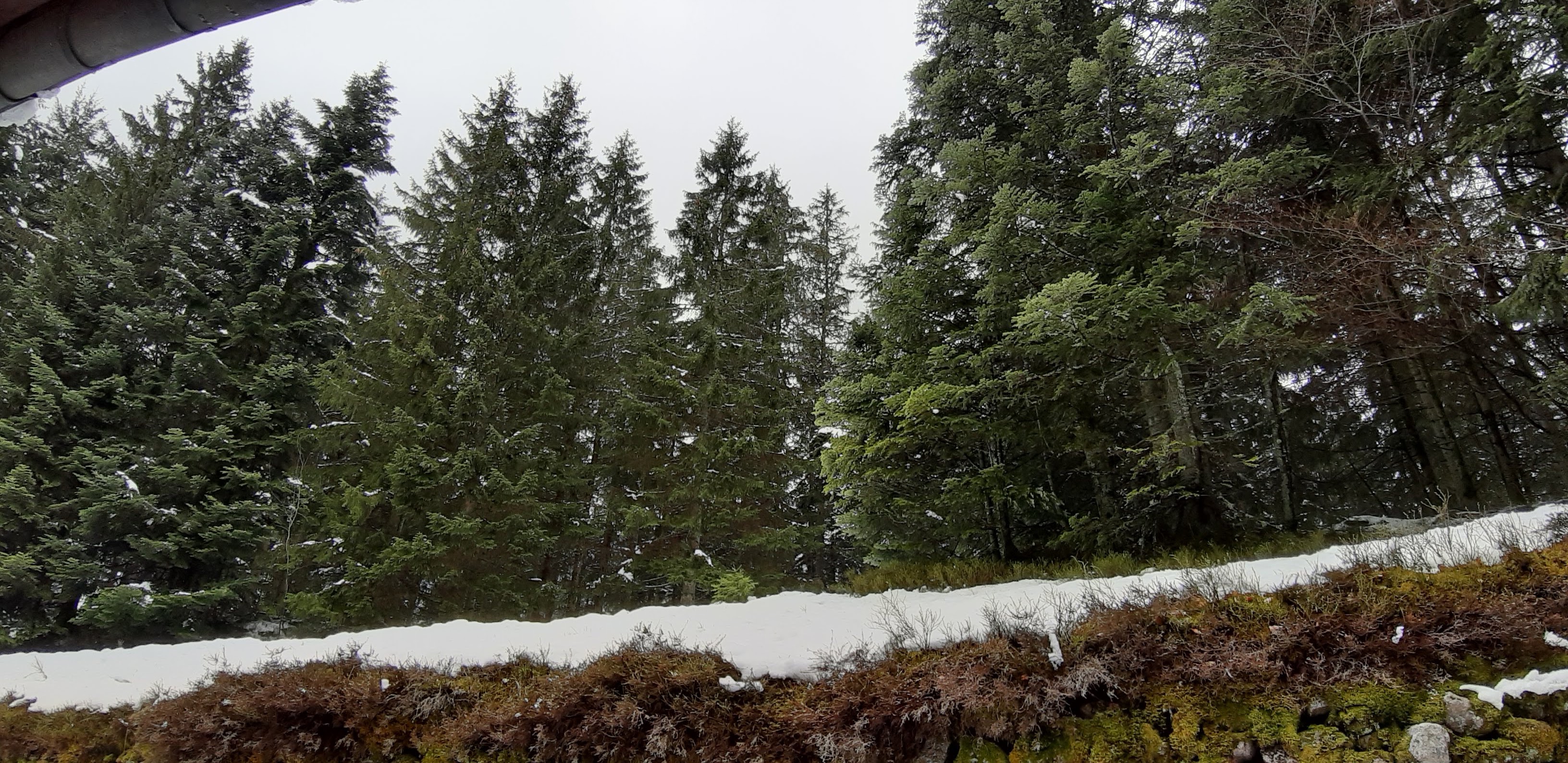Photo n° 21 de l'avis de betty.o fait le 14/04/2019 à 10:33