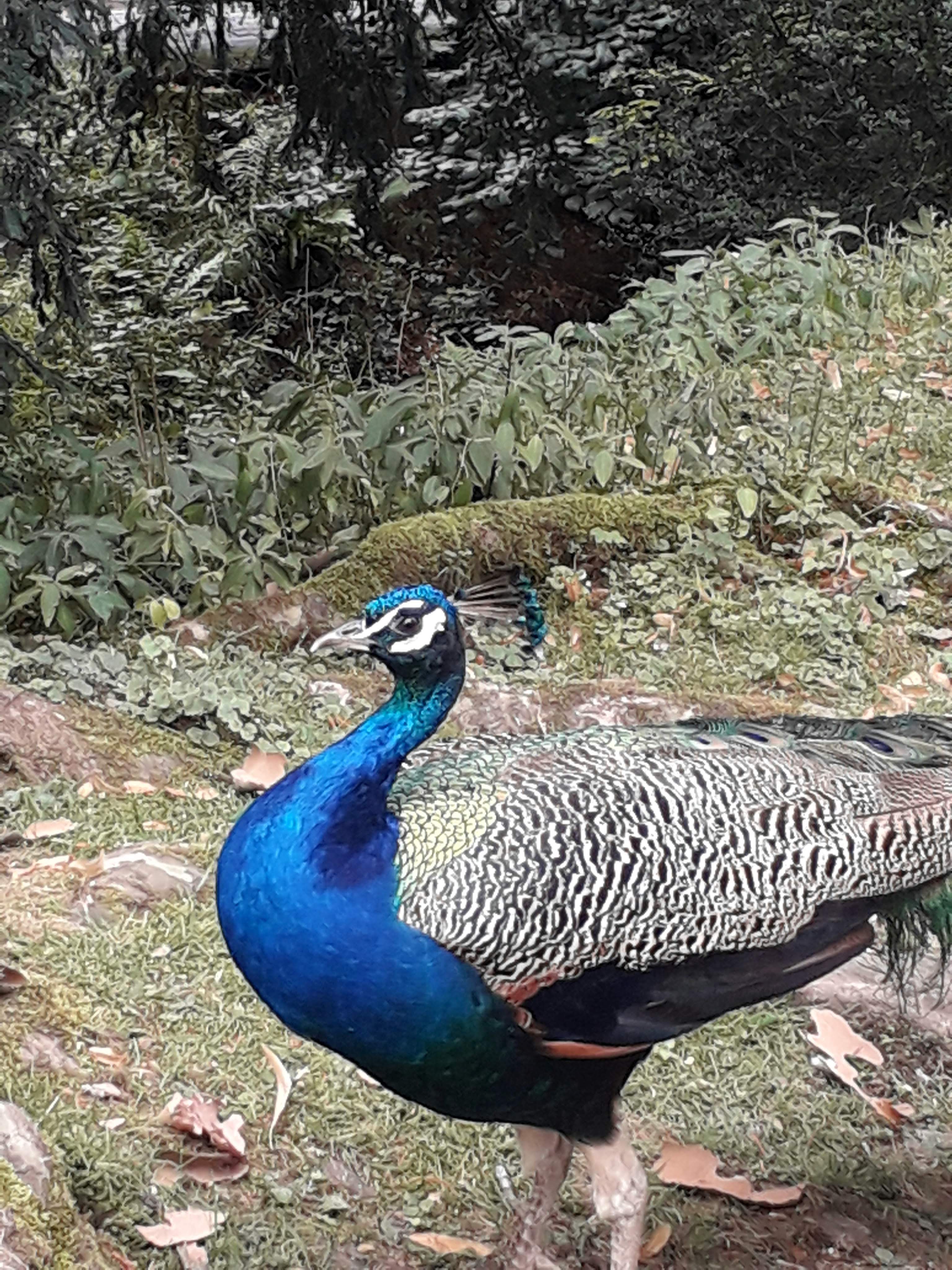 Photo n° 36 de l'avis de Le.o fait le 22/07/2022 à 15:09