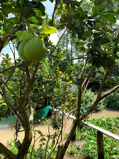 Top 13 cửa hàng kim giáp Huyện Trà Ôn Vĩnh Long 2022