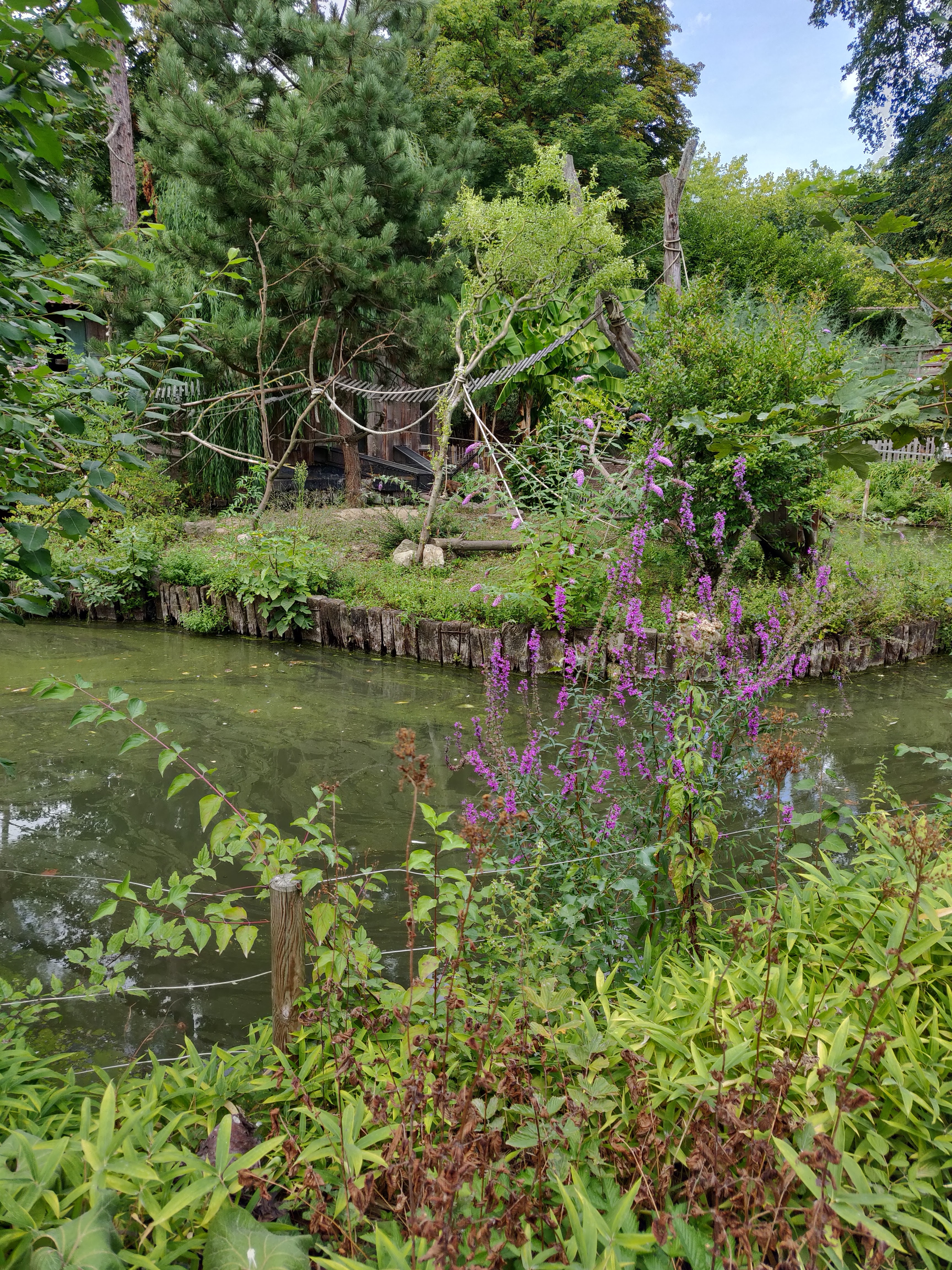 Photo n° 34 de l'avis de Amélie.e fait le 31/08/2019 à 17:39