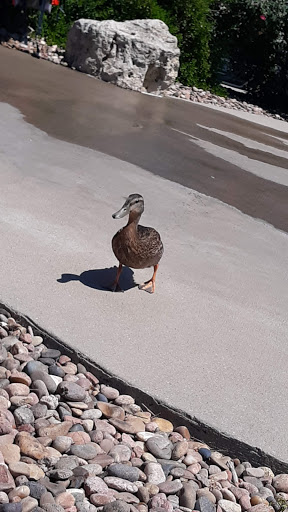 Water Park «Rock River Rapids Aquatic Park», reviews and photos, 1900 E James St, Derby, KS 67037, USA