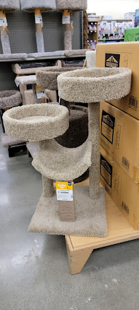 Petco - Photo 7 - Car repair in Bellevue, WA, Seattle