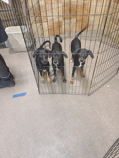 Pet Supply Store «PetSmart», reviews and photos, 2534 South Rd, Poughkeepsie, NY 12601, USA