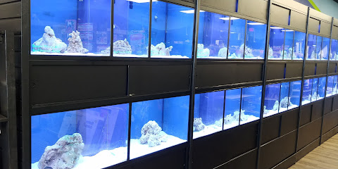 Aquariums Plus