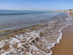 Photo de Terrace Resort beach avec rivage droit, long