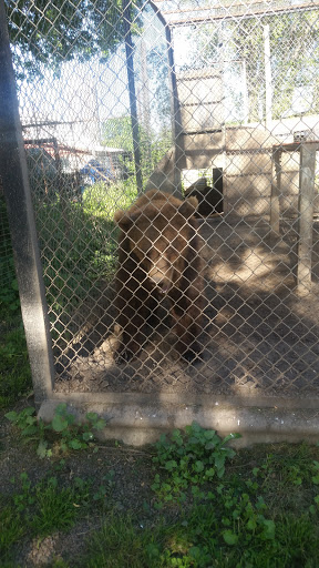 Zoo «Cricket Hollow Zoo», reviews and photos, 1512 210th St, Manchester, IA 52057, USA