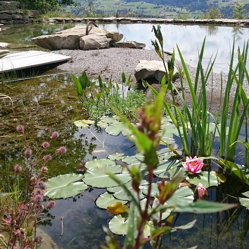 Kommentare und Rezensionen über Wick Gartenbau GmbH