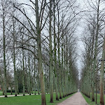 Photo n°13 de l'avis de Carlo.a fait le 24/02/2024 à 08:41 sur le  Althoff Hotel Fürstenhof Celle à Celle