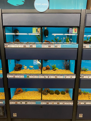 Pet Supply Store «Petco Animal Supplies», reviews and photos, 2635 Bell Rd, Auburn, CA 95603, USA