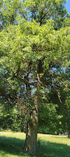 Public Golf Course «Apple Valley Golf Course», reviews and photos, 8661 140th St W, Apple Valley, MN 55124, USA