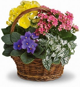 Florist «Sharon Florist», reviews and photos, 11525 California Route 2, Los Angeles, CA 90025, USA