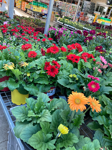 Home Improvement Store «The Home Depot», reviews and photos, 5858 Sawmill Rd, Dublin, OH 43017, USA