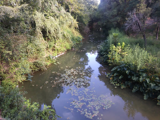 Ranch «Rio Cibolo Ranch», reviews and photos, 1101 Ulrich Rd, Marion, TX 78124, USA