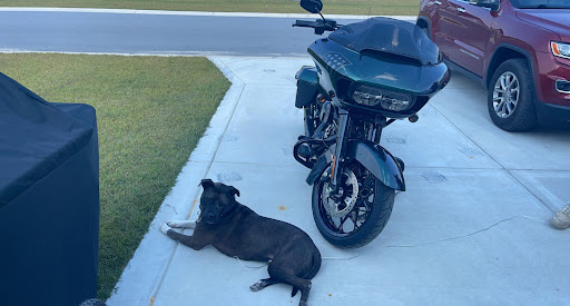 Harley-Davidson Dealer «Wolverine Harley-Davidson», reviews and photos, 44660 N Gratiot Ave, Charter Twp of Clinton, MI 48036, USA