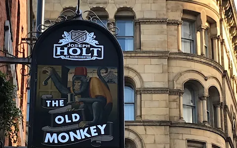 The Old Monkey image