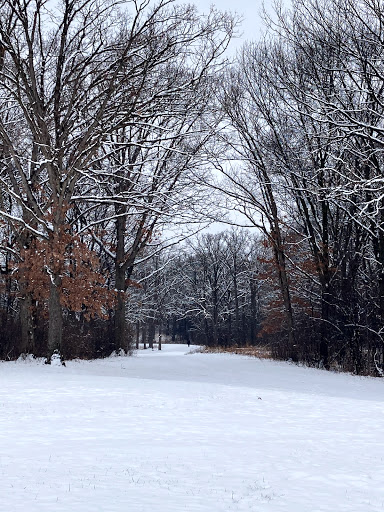 Nature Preserve «Rubio Woods», reviews and photos, W. Midlothian Turnpike, Midlothian, IL 60445, USA