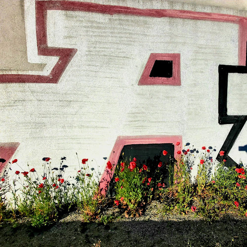 Novozámocká 2936/2B, 949 01 Nitra