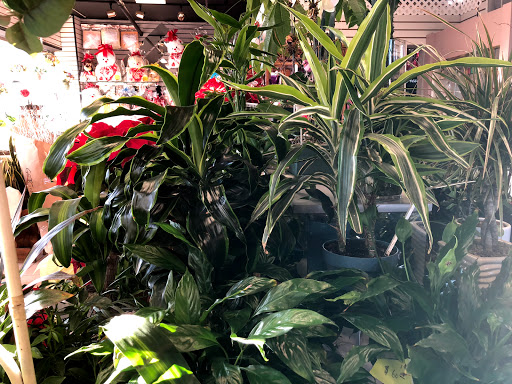 Florist «Gerties Flowers», reviews and photos, 806 Meacham Ave, Elmont, NY 11003, USA