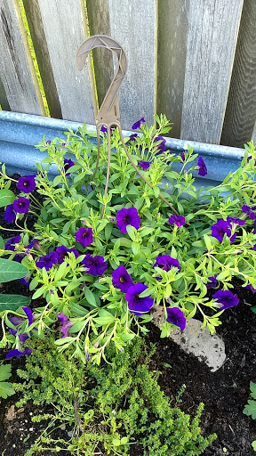 Produce Market «Produce Junction Inc», reviews and photos, 265 S Easton Rd, Glenside, PA 19038, USA