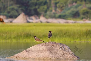 Annamangalam Lake image