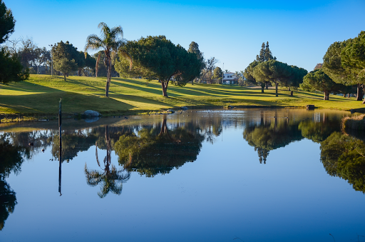 Golf Course «Newport Beach Golf Course», reviews and photos, 3100 Irvine Ave, Newport Beach, CA 92660, USA