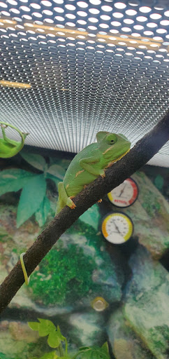 Pet Supply Store «Petco Animal Supplies», reviews and photos, 27580 W Lugonia Ave, Redlands, CA 92374, USA